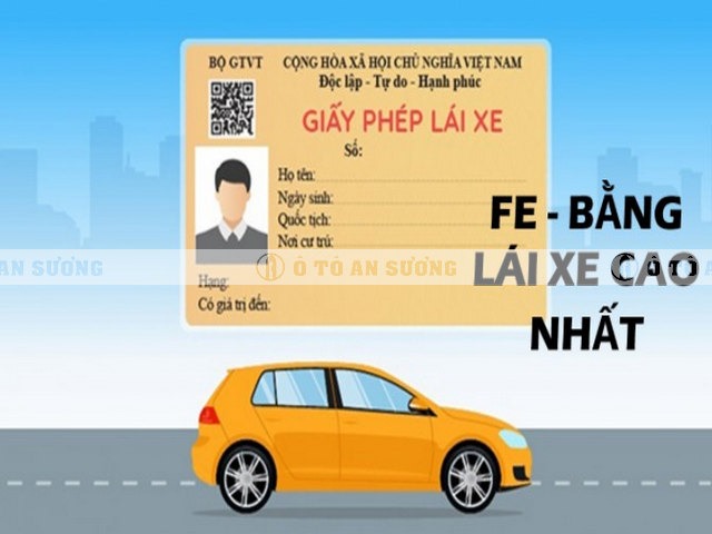 bằng lái xe nào cao nhất