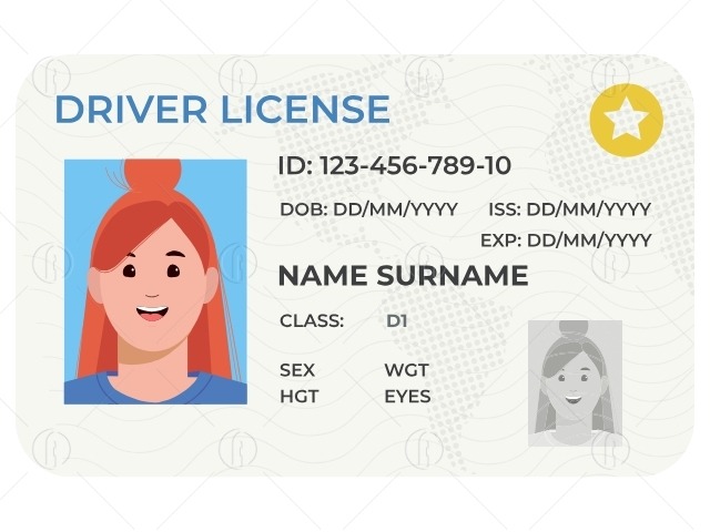 Giấy phép lái xe hạng D1 là loại bằng lái mới theo quy định từ 01/01/2025