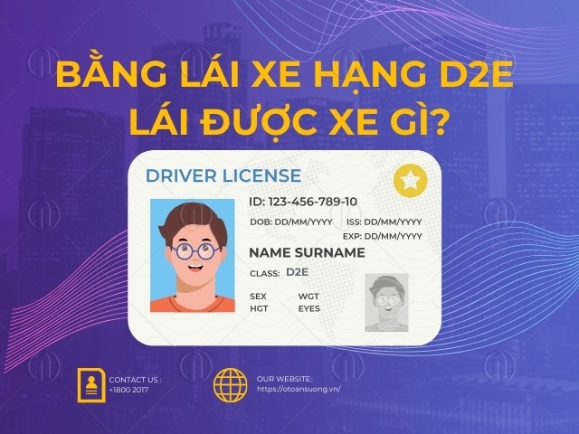 Tổng hợp quy định về GPLX hạng D2E mới nhất Tổng hợp quy định về GPLX hạng D2E mới nhất