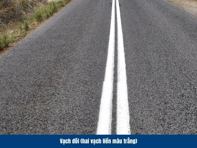 Vạch đ&ocirc;i liền m&agrave;u trắng gồm hai đường liền chạy song song
