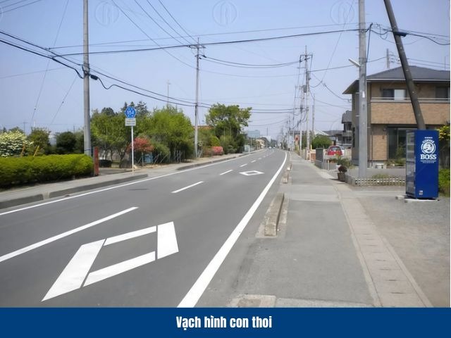 Vạch kẻ h&igrave;nh thoi được sử dụng để cảnh b&aacute;o người điều khiển phương tiện