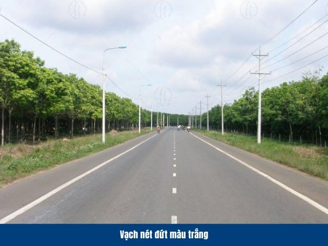 Vạch kẻ đường dạng n&eacute;t đứt m&agrave;u trắng