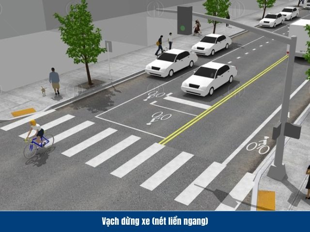 Vạch kẻ đường dạng n&eacute;t liền m&agrave;u trắng, được vẽ ngang mặt đường