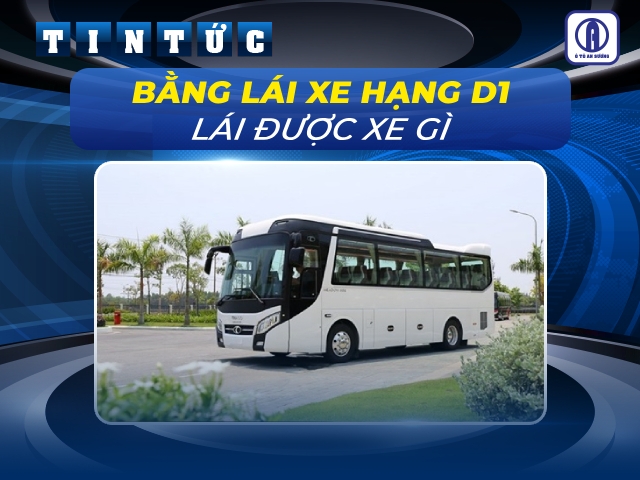 Bằng lái xe hạng D1 lái được xe gì? Bao nhiêu tuổi thi bằng D1 được?