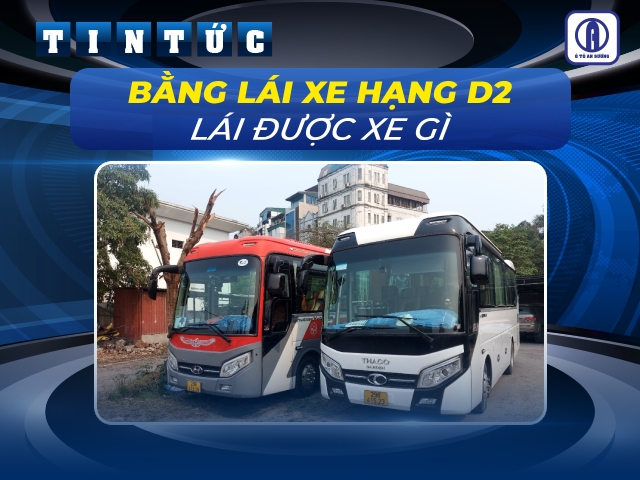 Giải đáp: Bằng lái xe hạng D2 lái được xe gì? Quy định thi D2