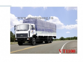 VEAM VT1100
