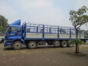 XE TẢI TRƯỜNG HẢI 5 CHÂN