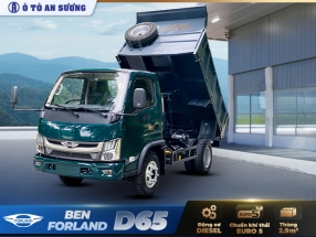 Xe ben Forland D65 3T5