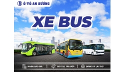 XE BUS