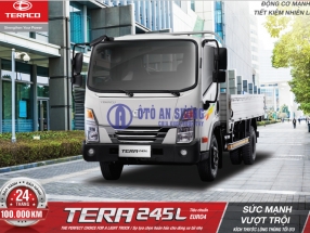 Xe tải Tera 245L