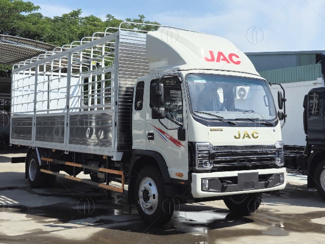 Mặt ca lăng thiết kế miệng c&aacute; mập thời thượng
