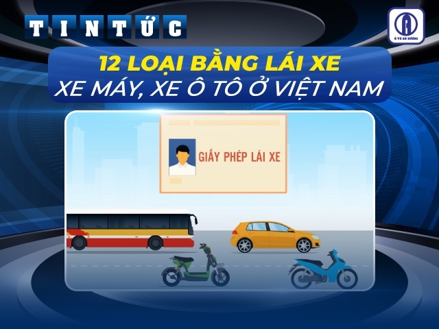 Các loại bằng lái xe tại Việt Nam bạn cần biết 